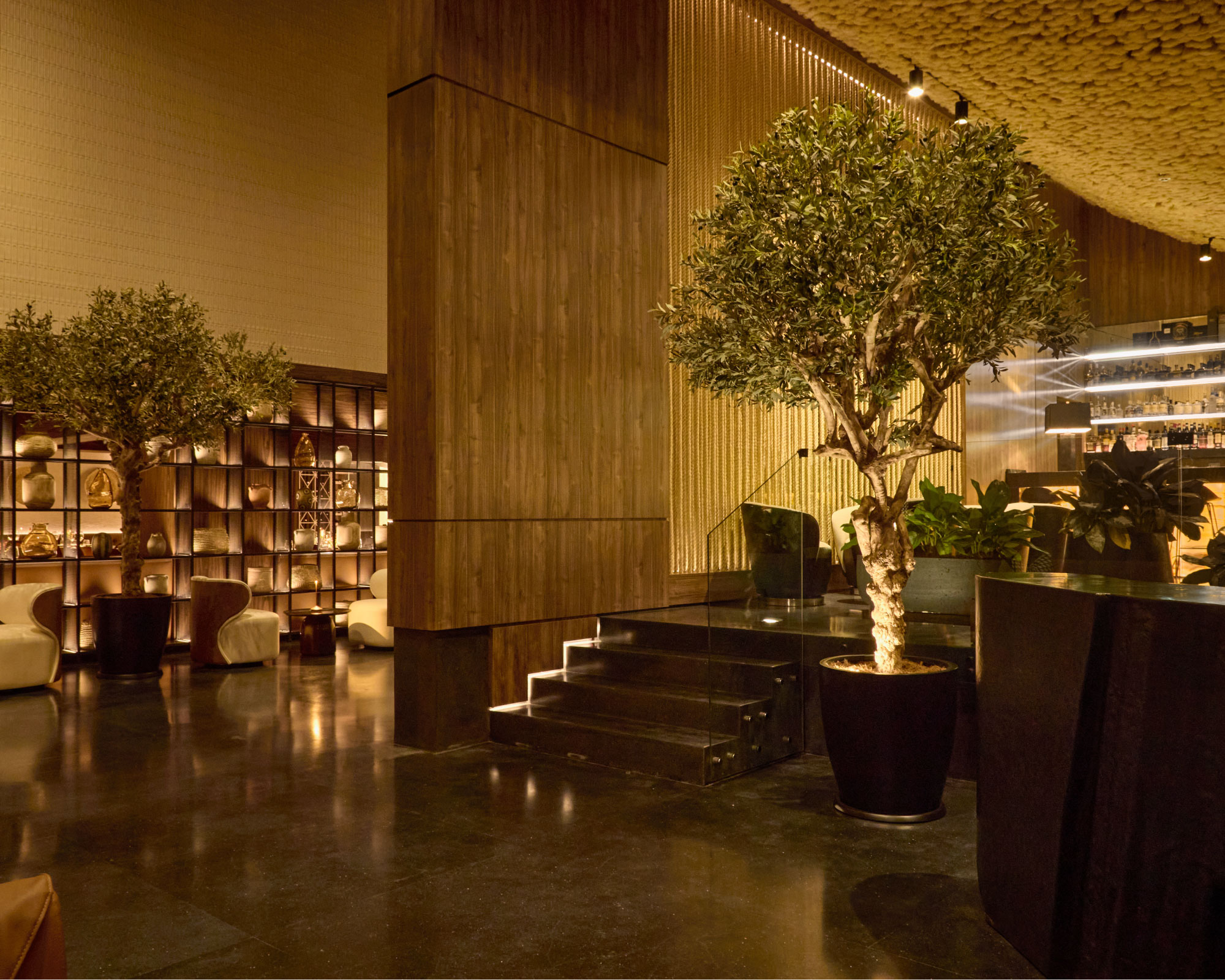 BRASS HALL DE INGRESO